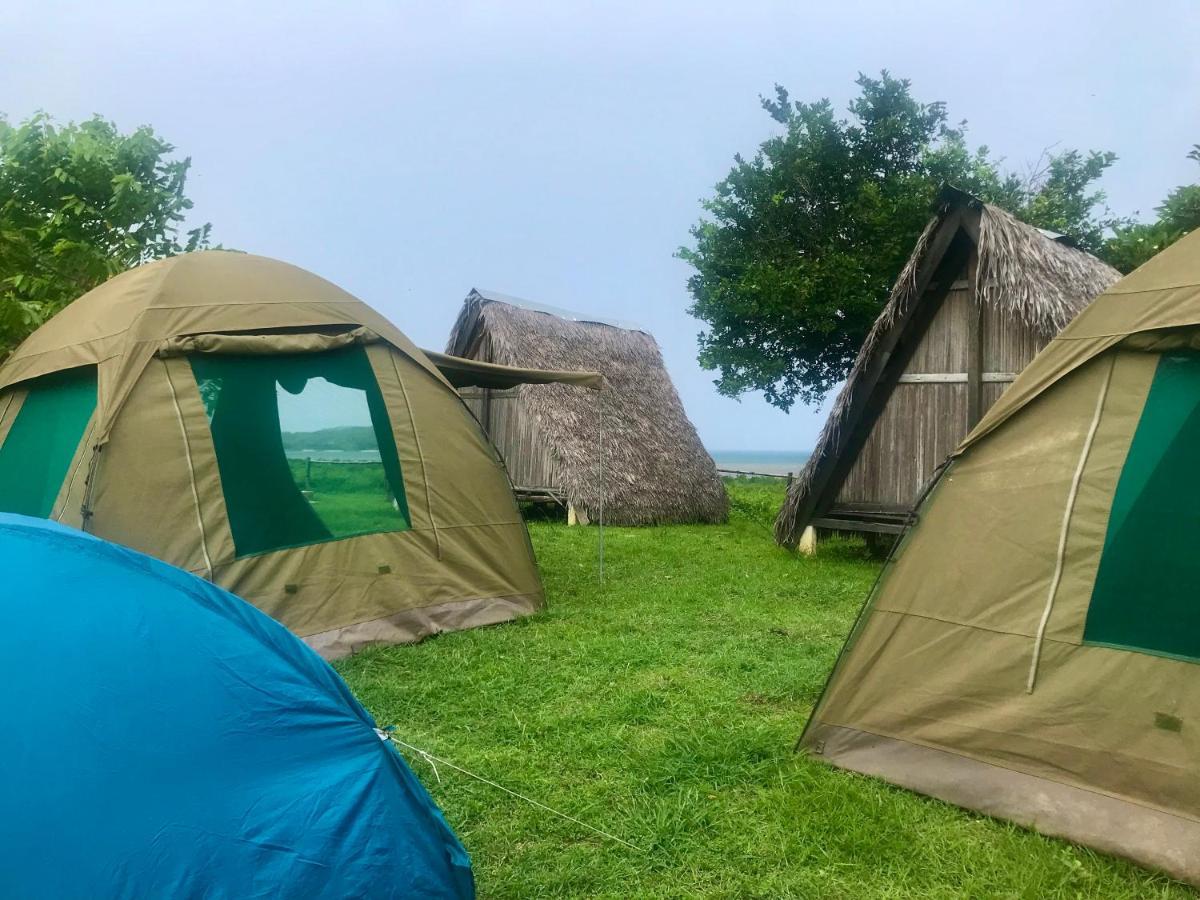 Corto Novo Maison D'Hotes-Camping นูซีเบ ภายนอก รูปภาพ