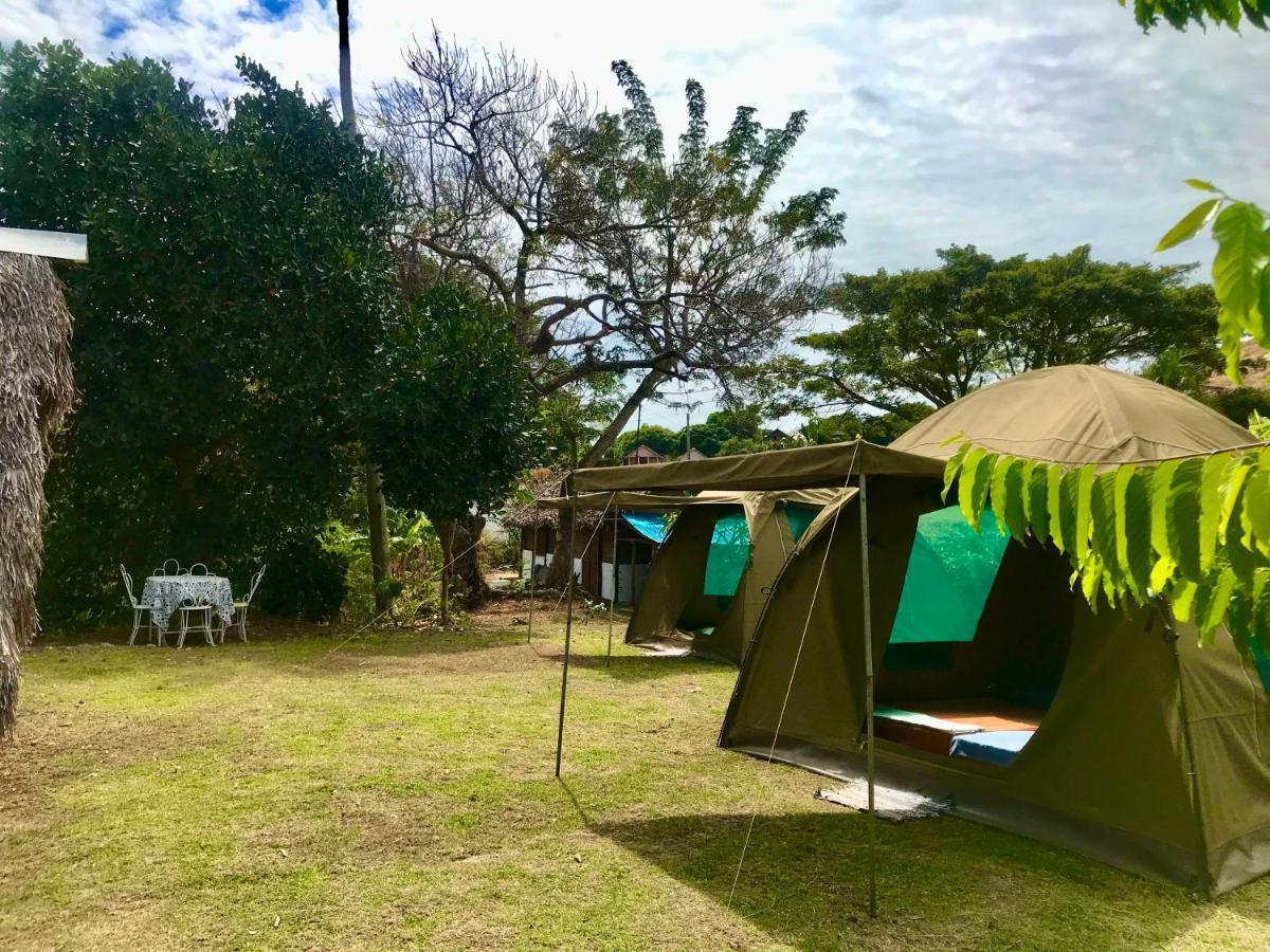 Corto Novo Maison D'Hotes-Camping นูซีเบ ภายนอก รูปภาพ